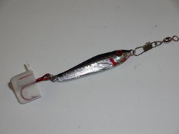 Show details for Silver Flash #1361 Picture of Silver Flash #1361