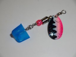 Show details for Rainbow #1373 Picture of Rainbow #1373