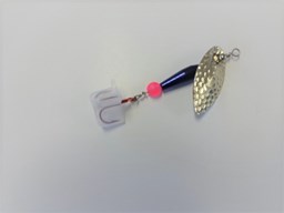 Show details for Midnight Star #1508 Picture of Midnight Star #1508