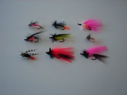 Show details for Custom Flies Assortment # 492 Picture of Custom Flies Assortment # 492