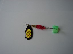 Show details for Black with Yellow Red Dots #427 Picture of Black with Yellow Red Dots #427