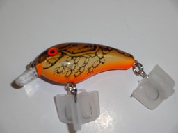 Show details for Crawdad #978 Picture of Crawdad #978