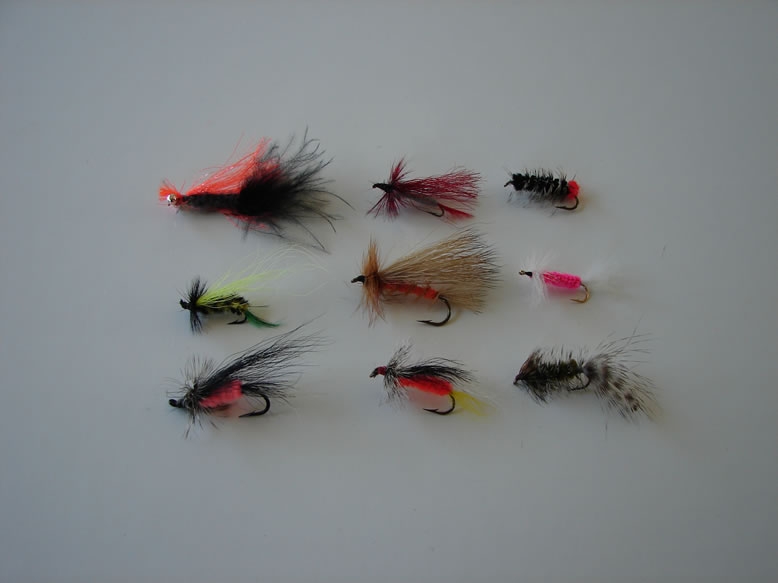 Picture of Custom Flies Assortment # 491