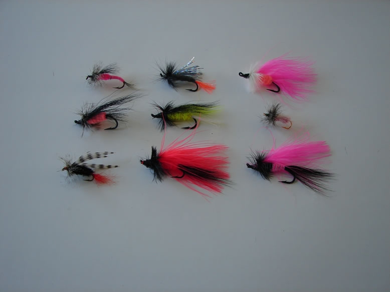 Picture of Custom Flies Assortment # 492