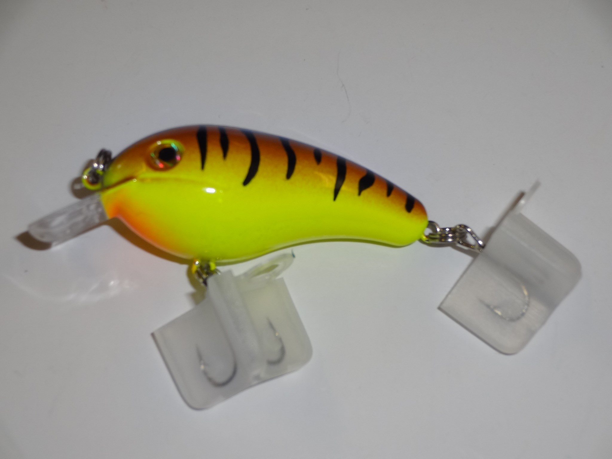 Picture of Orange Perch #985