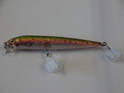 Picture of Rainbow Trout #995