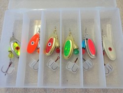 Picture of Salmon Assortment #5