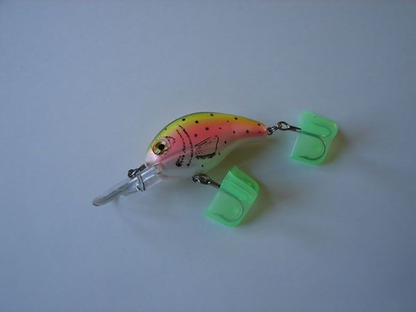Picture of Rainbow Trout # 37