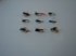 Picture of Custom Flies Assortment # 493, Picture 1