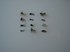 Picture of Custom Flies Assortment # 497, Picture 1