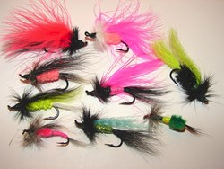 Picture for category Flies
